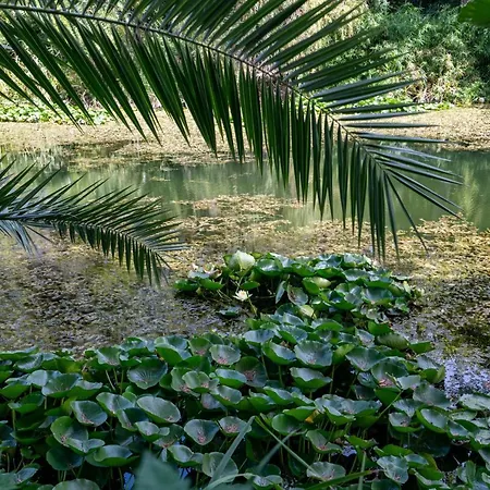 Le Verd'o - Piscine - - Parking - Wifi - Mybestloc Six-Fours-les-Plages